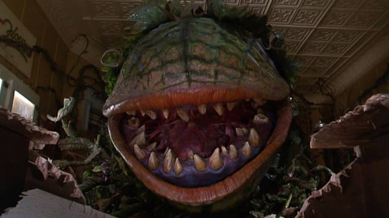 Audrey II in Little Shop of Horrors