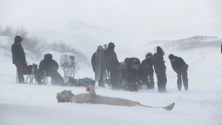 A frozen body in The Last Winter