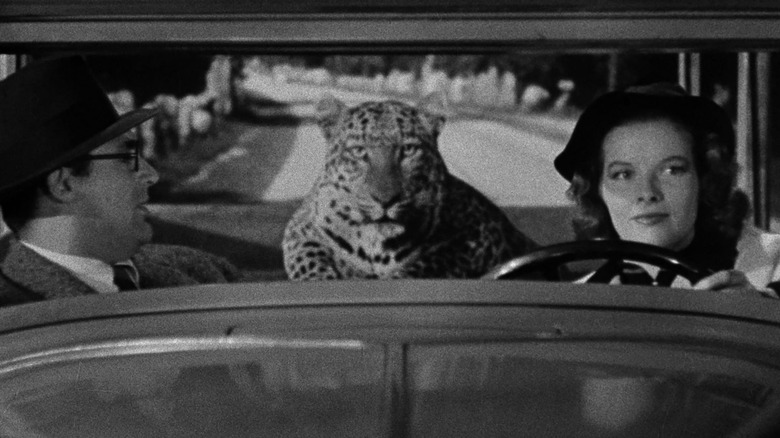 David and Susan driving with a leopard in the car in Bringing Up Baby