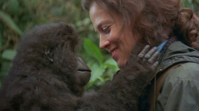 Dian smiles at baby gorilla Gorillas in the Mist