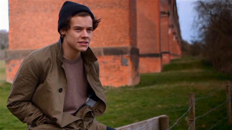 Harry Styles sitting fence