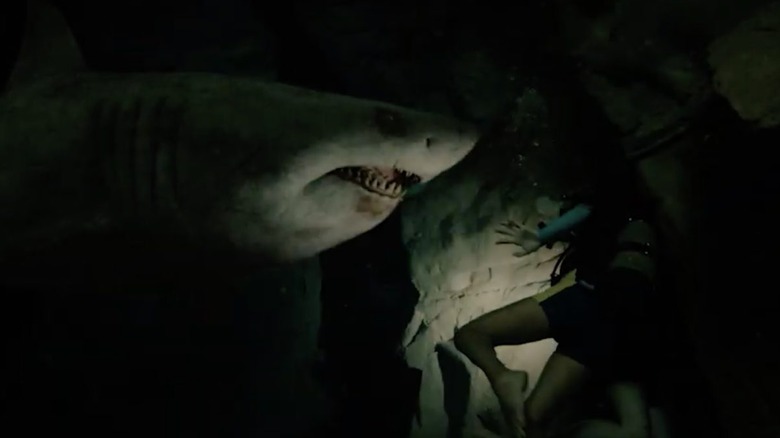 The shark hunts in the Mayan cave