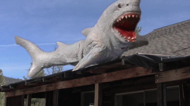 The shark attacks from a roof