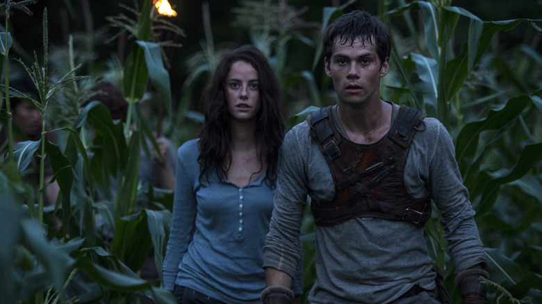 The Maze Runner movie Kaya Scodelario