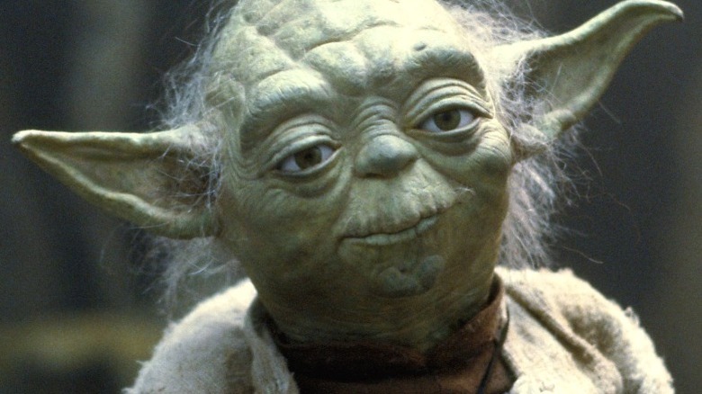 Yoda on Dagobah