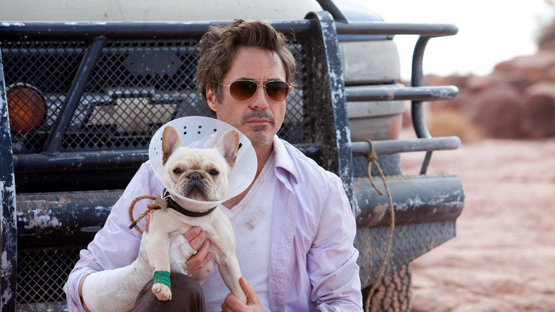 Robert Downey Jr. with dog