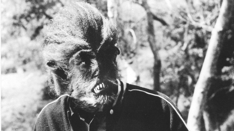 Tony as werewolf in woods in I Was a Teenage Werewolf