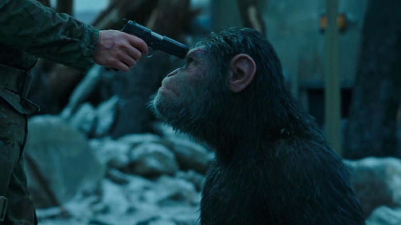 Chimpanzee Caesar has a gun placed to his forehead