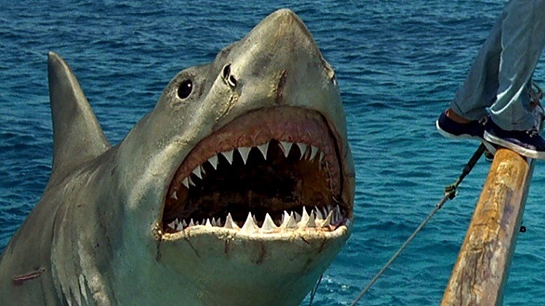 The Shark emerges in Jaws 4