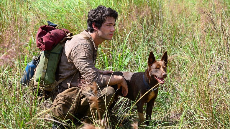 Dylan O'Brien and dog