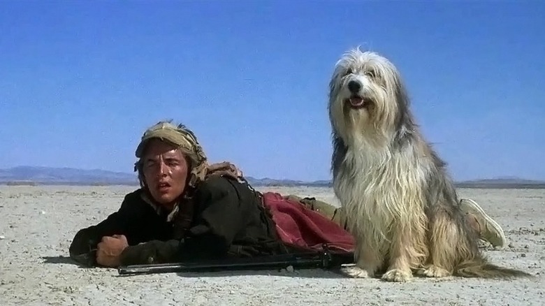 a boy, played by Don Johnson, and his dog surveying the landscape in A Boy and His Dog