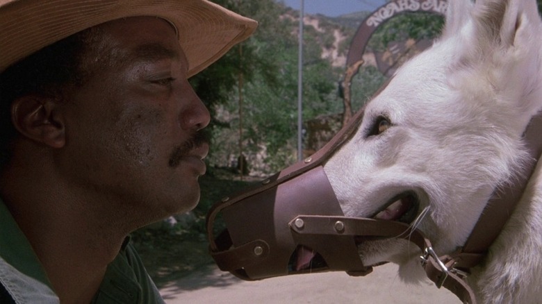 Paul Winfield, as Keys, staring down a dangerous dog, in White Dog