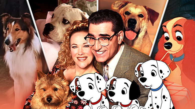 Eugene Levy and Catherine O'Hara holding their dog in Best in Show in the middle, on the sides: Chance from Homeward Bound, Lady from Lady and the Tramp, Yeller from the 1957 Old Yeller, and Lassie from Lassie Come Home