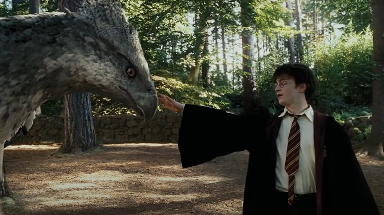 Harry Potter touching hippogriff