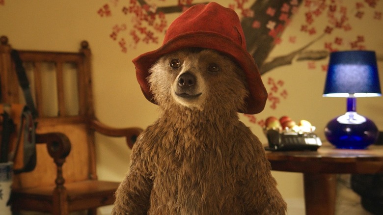 Paddington in little red hat