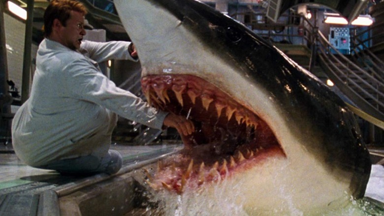 The 18 Best Shark Movies Ever