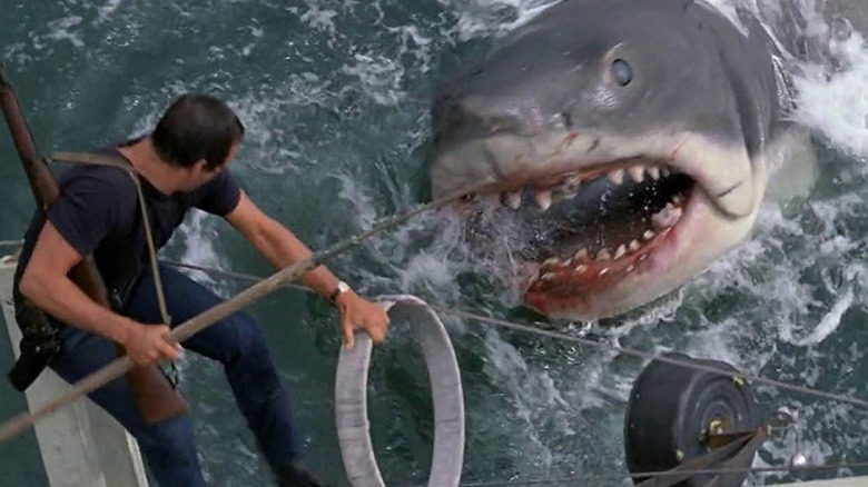 The 18 Best Shark Movies Ever