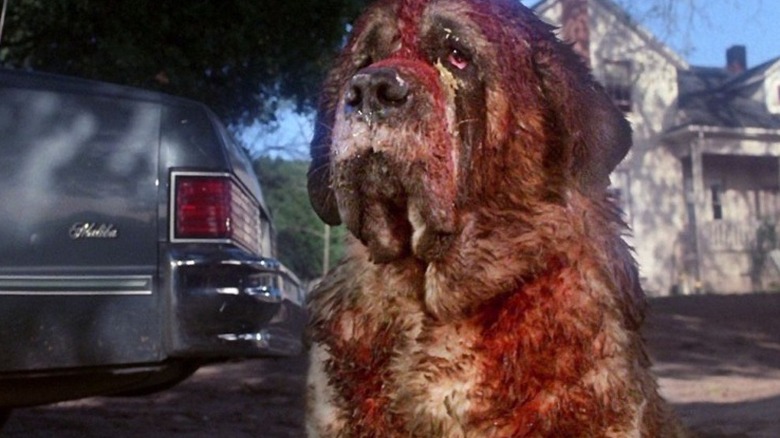 Stephen King's Cujo