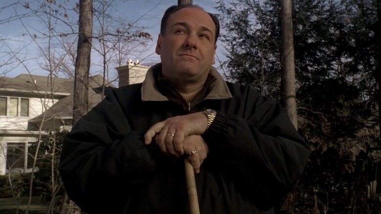 The Sopranos Tony Soprano