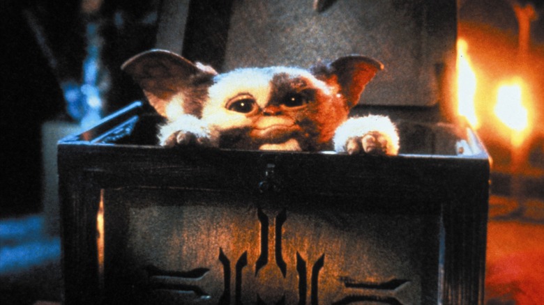 Gremlins 1984 Gizmo trunk 