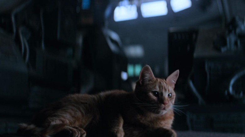 Alien 1979 Jonesy 