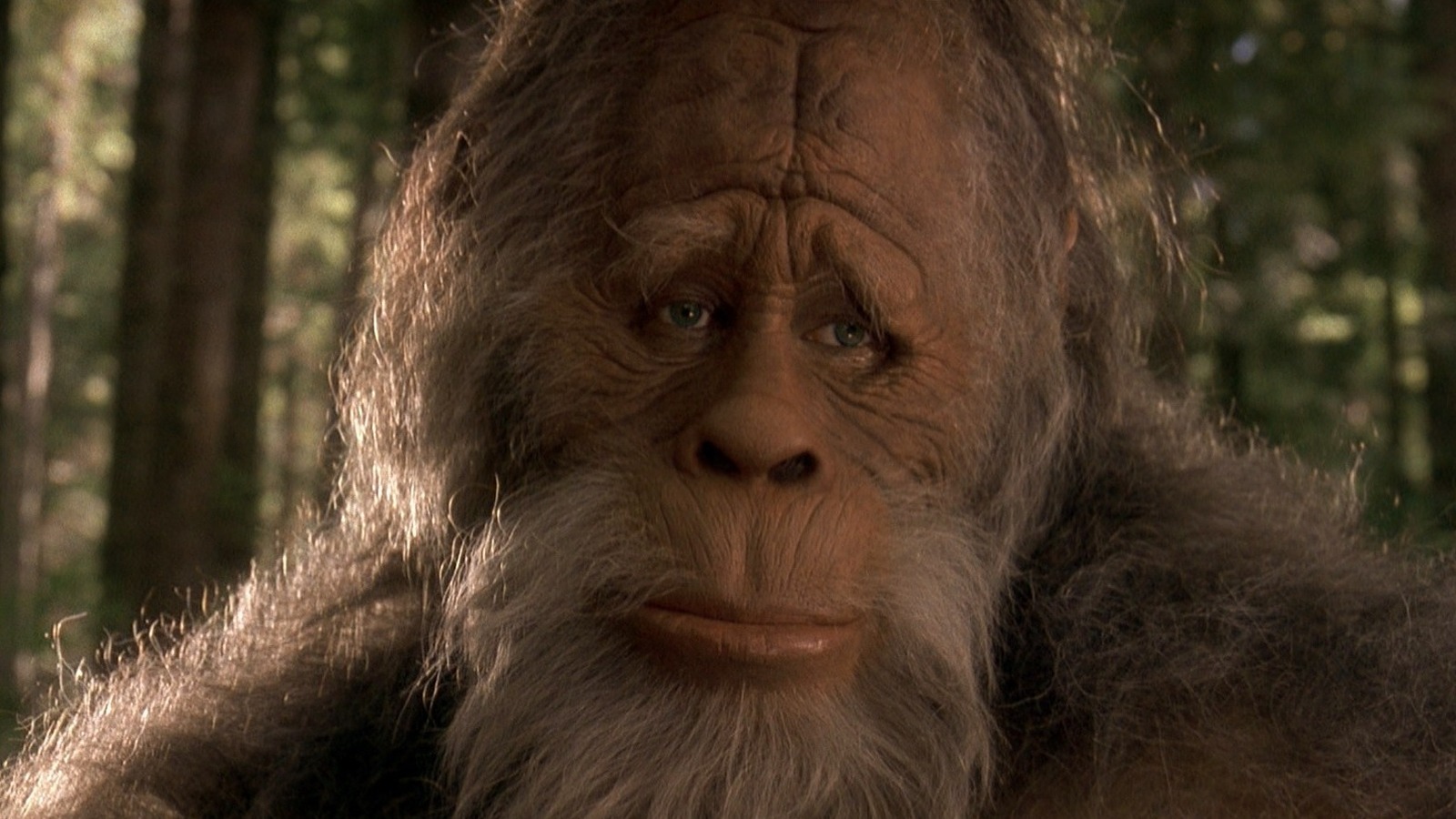 The Ultimate Bigfoot Movie Ranking 47 Yeti, Sasquatch, And Abominable Snowman Movies Ranked