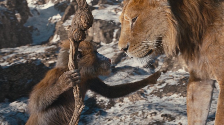 Rafiki touching Mufasa in Mufasa: The Lion King