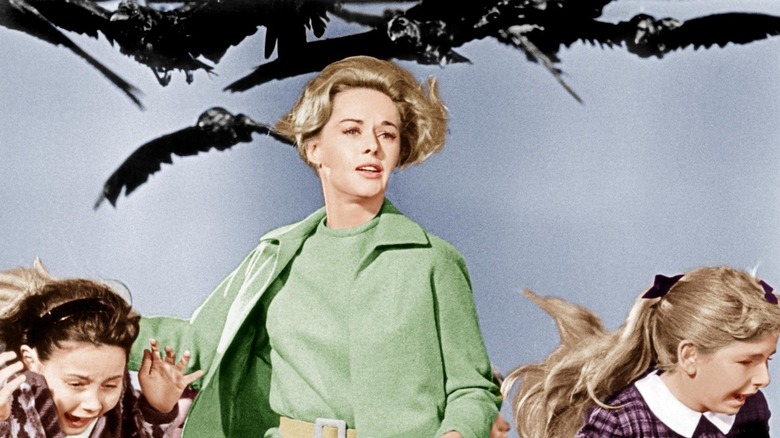 Tipi Hedren in the Birds