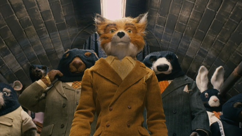 Fox and other animals in tunnel