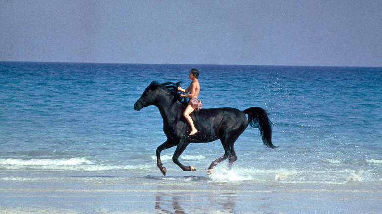 Boy rides stallion on beach