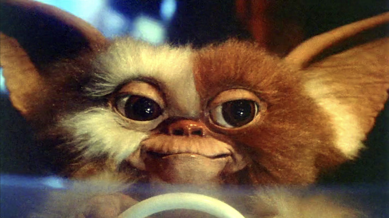 Gizmo the Mogwai looking adorable in Gremlins