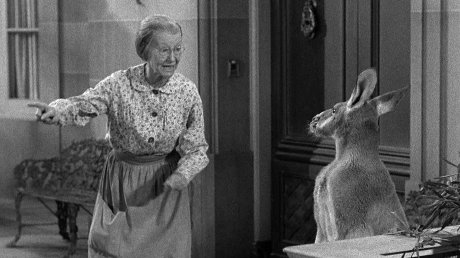 A Beverly Hillbillies Episode Hit A 60s Sitcom Record Despite Critics ...