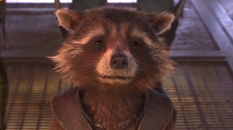 Rocket Raccoon in Guardians of the Galaxy Vol. 2