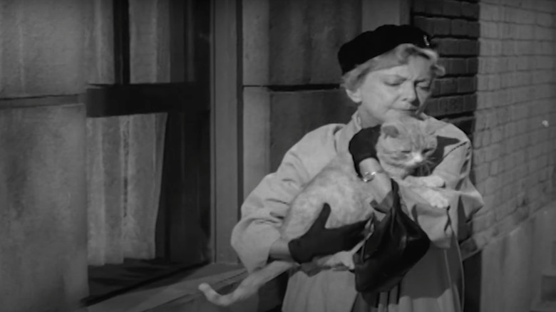 Alfred Hitchcock Presents Paisley Cat