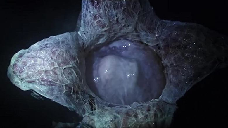 A Xenomorph egg from Alien: Covenant