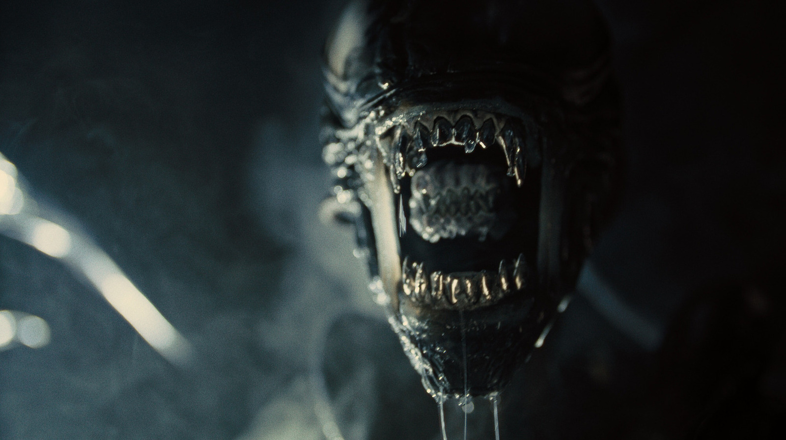 Alien: Romulus Concept Art Reveals Unseen Stage Of The Offspring Life
Cycle