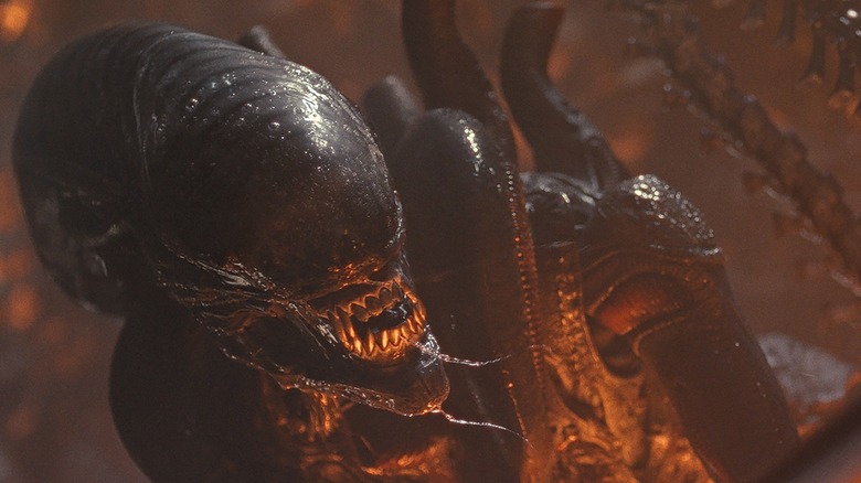 The Xenomorph with bared fangs and drenched in orange light in a scene from Alien: Romulus