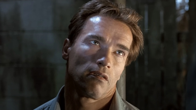 Agent Harry Tasker looks unimpressed in True Lies