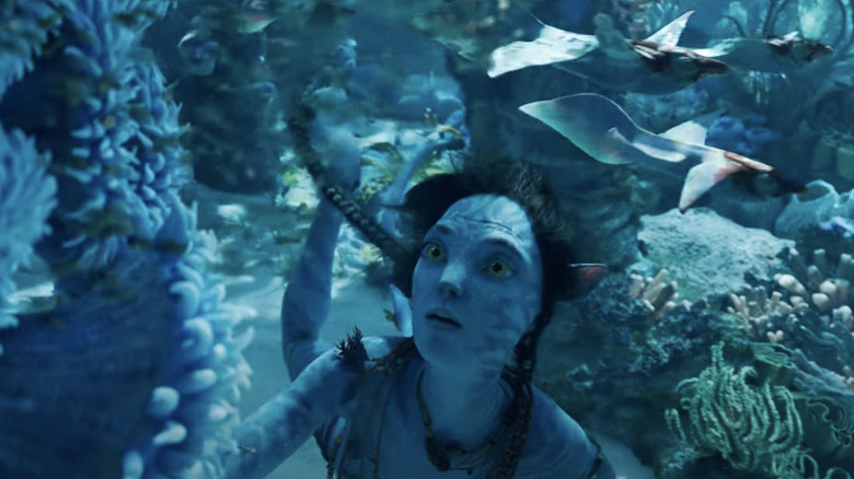 Avatar The Way of Water Trinity Bliss