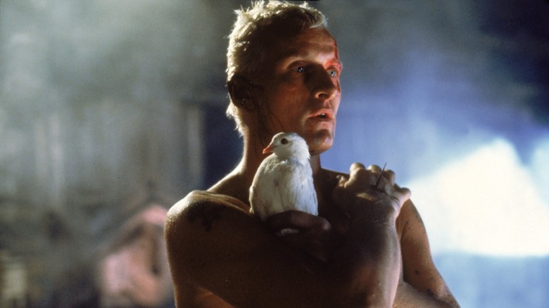 Blade Runner bird