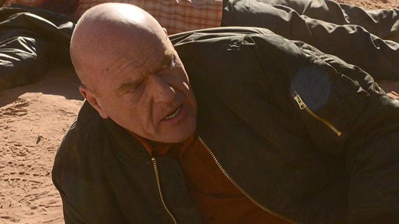 Dean Norris, Breaking Bad