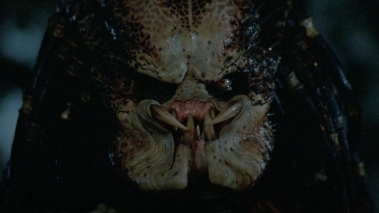 Close-up of Predator at night