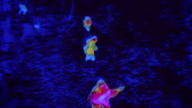 Predator's infrared vision in Predator