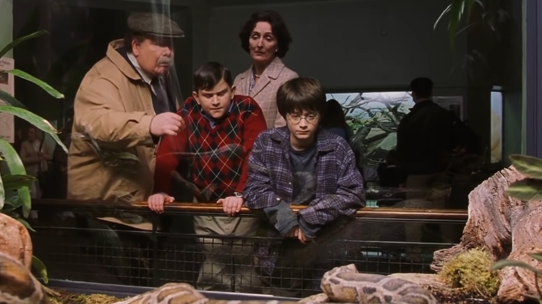 Harry Potter and the Sorcerer's Stone, Harry and the Dursleys at the zoo, looking at a snake