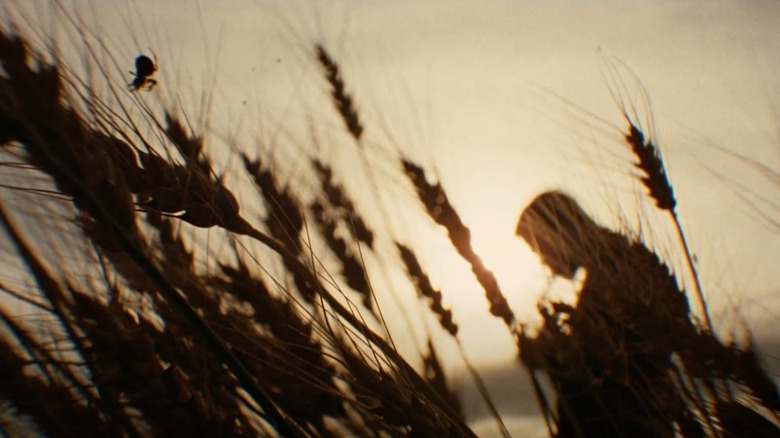 A sunset in The Assassination of Jesse James by the Coward Robert Ford