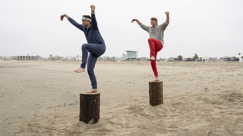 Daniel and Johnny do the crane kick at the beack in Cobra Kai