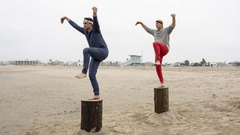 Daniel and Johnny do the crane kick at the beack in Cobra Kai