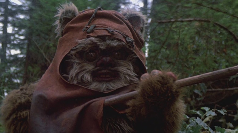 Ewok from Star Wars: Return of the Jedi