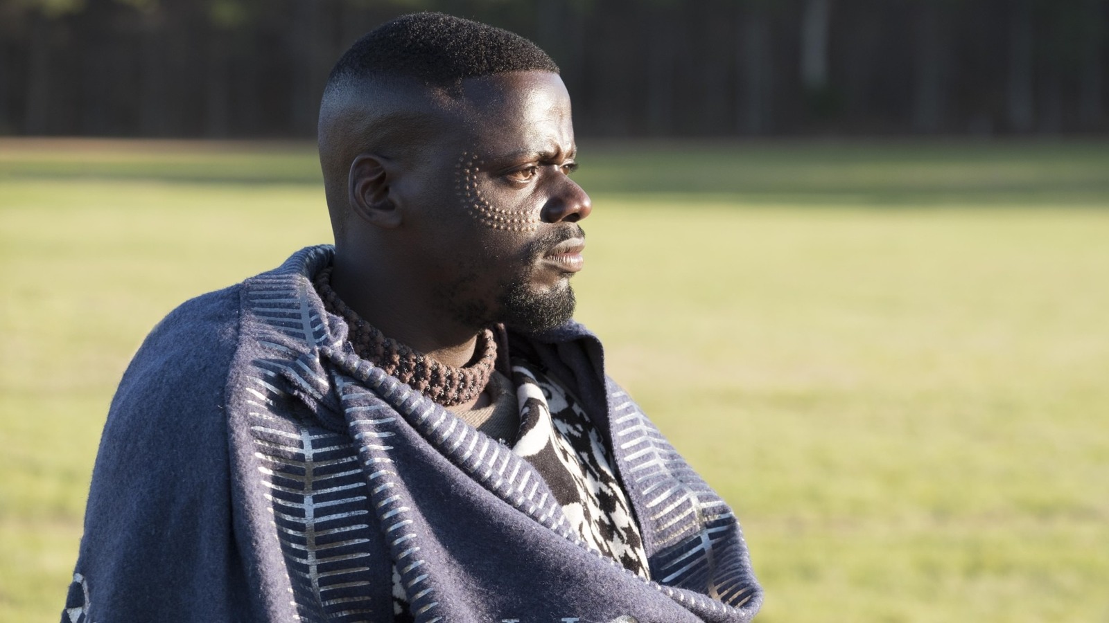 Daniel Kaluuya Will Not Appear In Black Panther: Wakanda Forever, Schedule  Conflicted With Nope