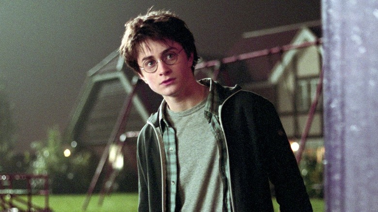 Daniel Radcliffe as Harry Potter